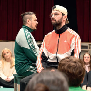 Blindsone Laerarressurs ikon