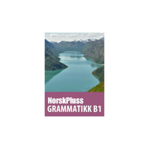 Norskpluss grammatikk b1