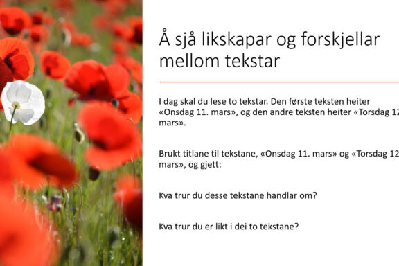 Aa sjaa likskapar