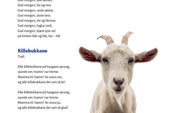 Barnesongar smaabarn 1