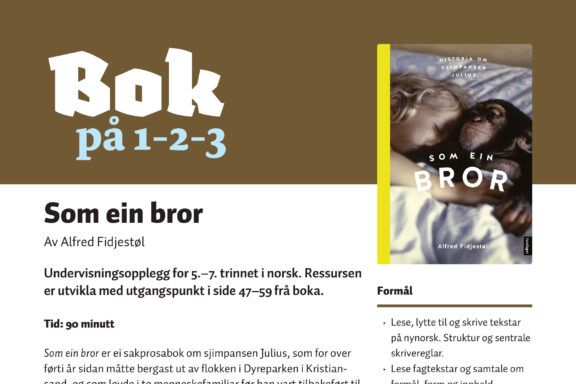 Bok paa 123 Som ein bror 1