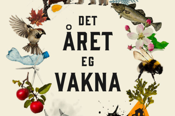 Det året eg vakna