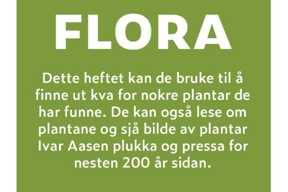 Flora barneskule 1