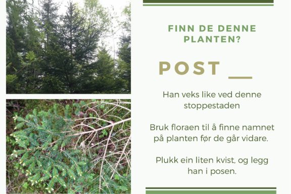 Post 1