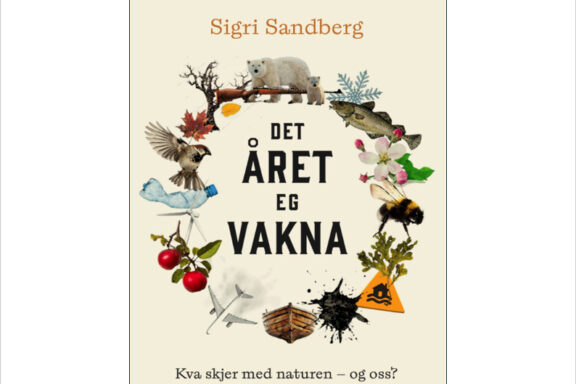 Sandbergopplegg