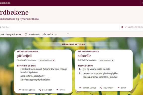 Skjermbilete 5 Søk i 2 ordbøker