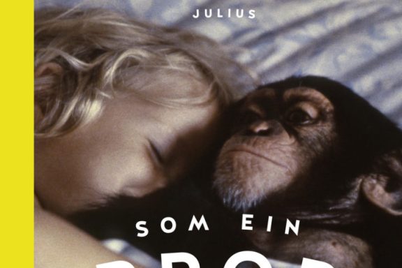 Som ein bror kvadrat