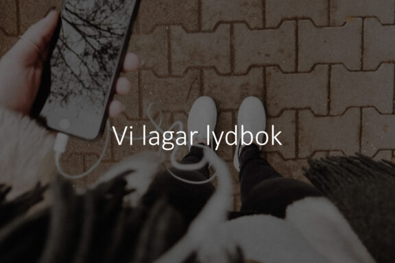 Vi lagar lydbok