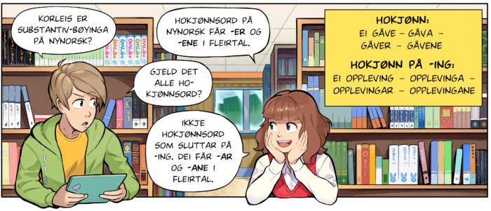 123 substantiv hokjonn