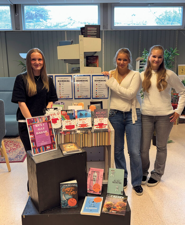 Jentene viser fram utstillinga redigert av Arild komprimert til nettside