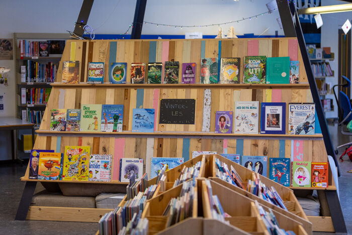 Skulebibliotek2 komprimert til nettsie