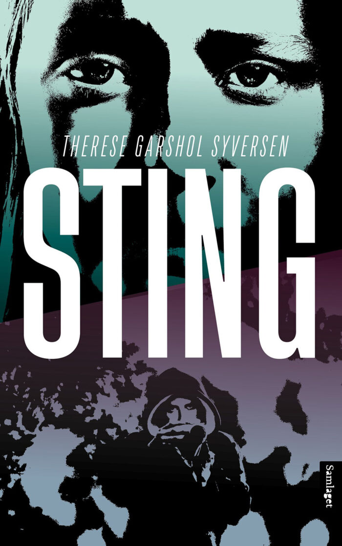 Sting komprimert til nettside