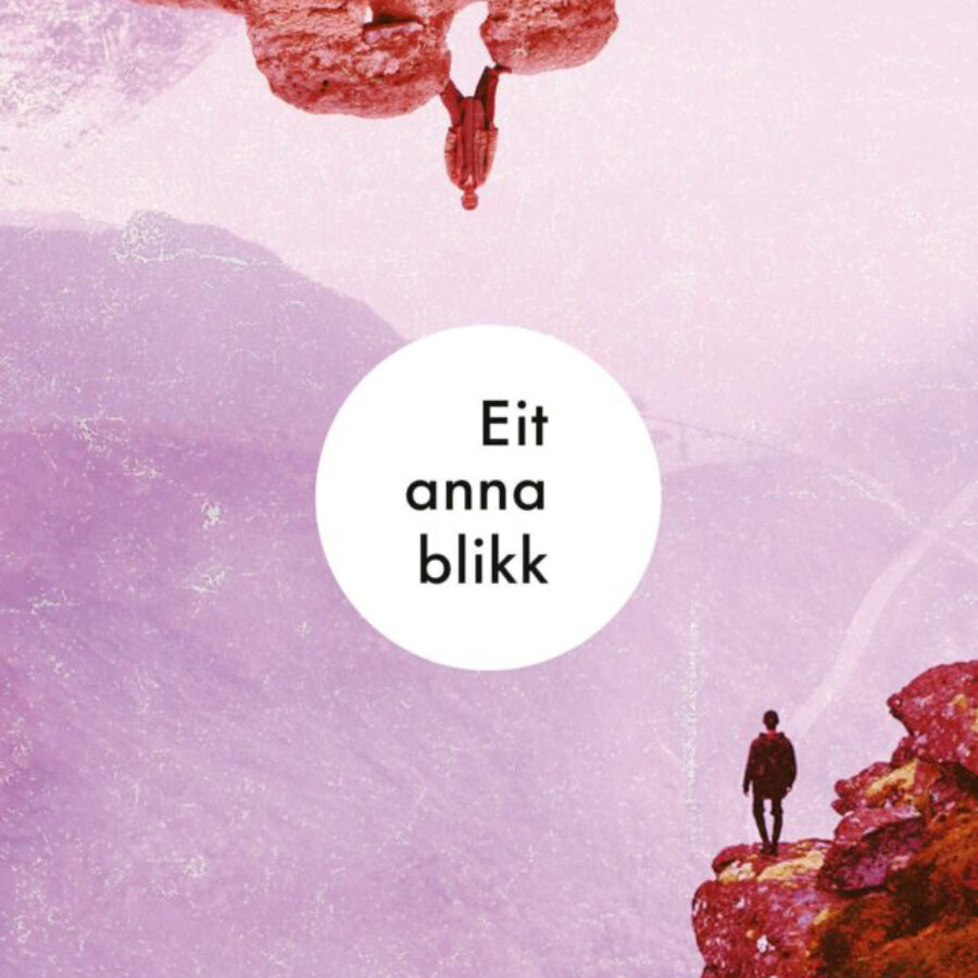 Opplegg til boka Eit anna blikk - Nynorsksenteret